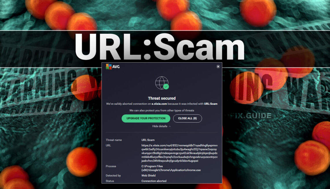 What is URL:Scam?